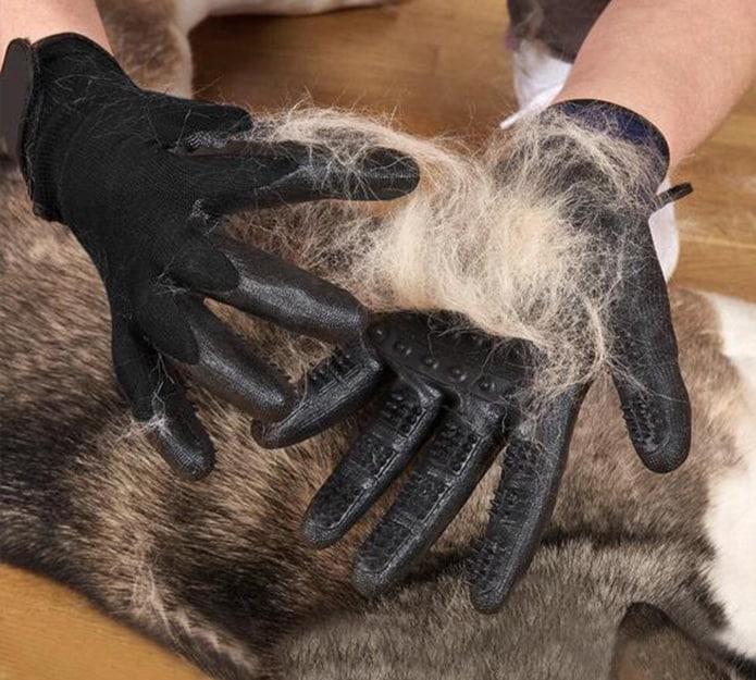 Pawly Premium DUO