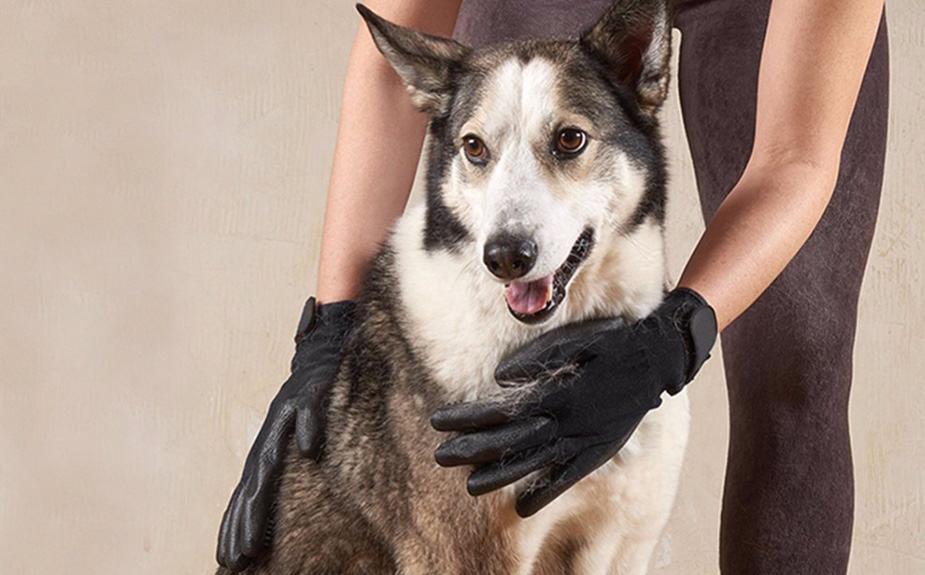 Pawly Premium DUO